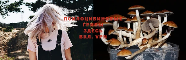 ешки Алзамай